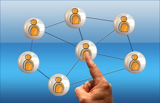 乐鱼体育app下载地址-体育新闻中心联合高校开展体育传媒创新创业大赛，体育产业创新创业大赛